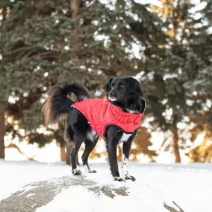 Reversible Chalet Dog Coat