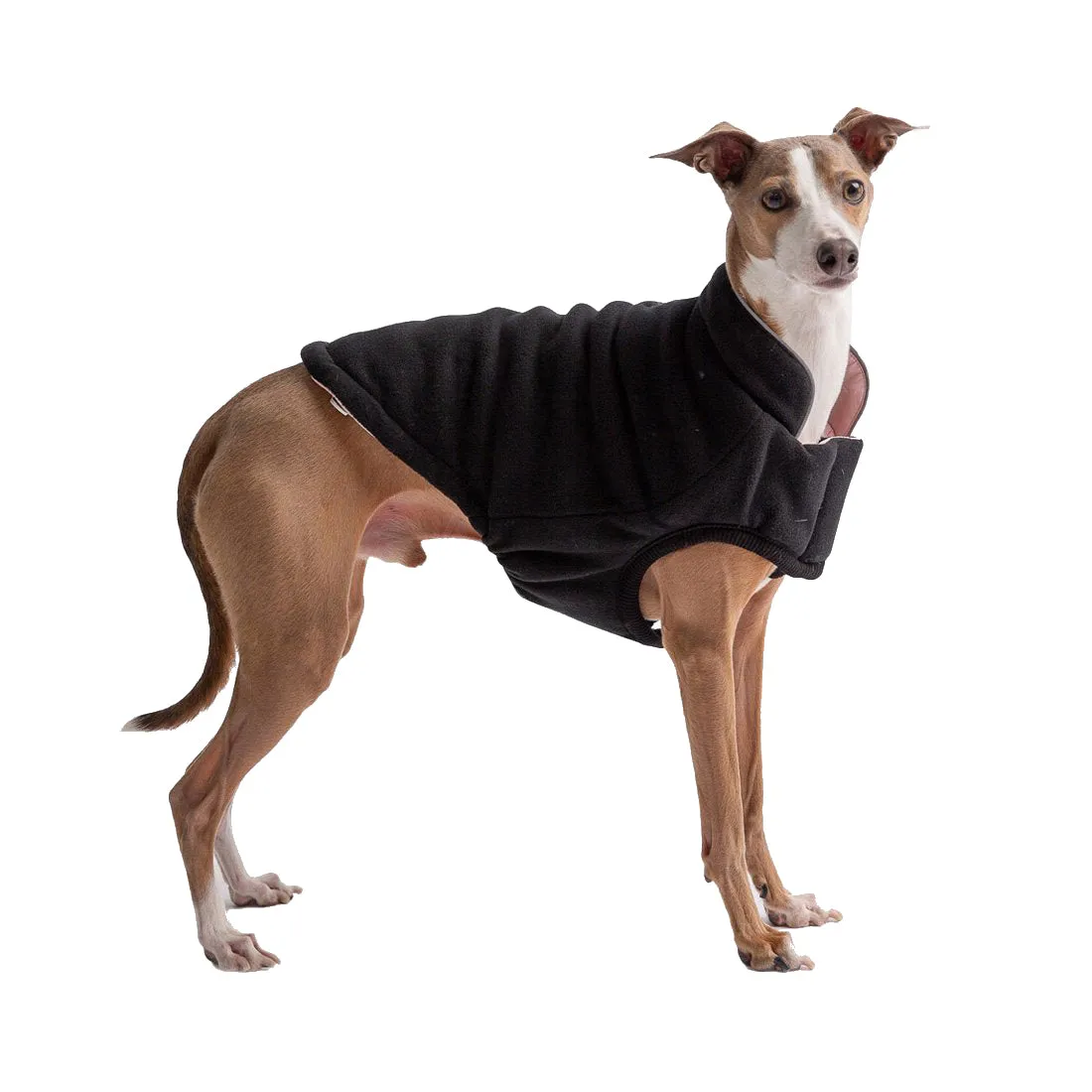 Reversible Chalet Dog Coat